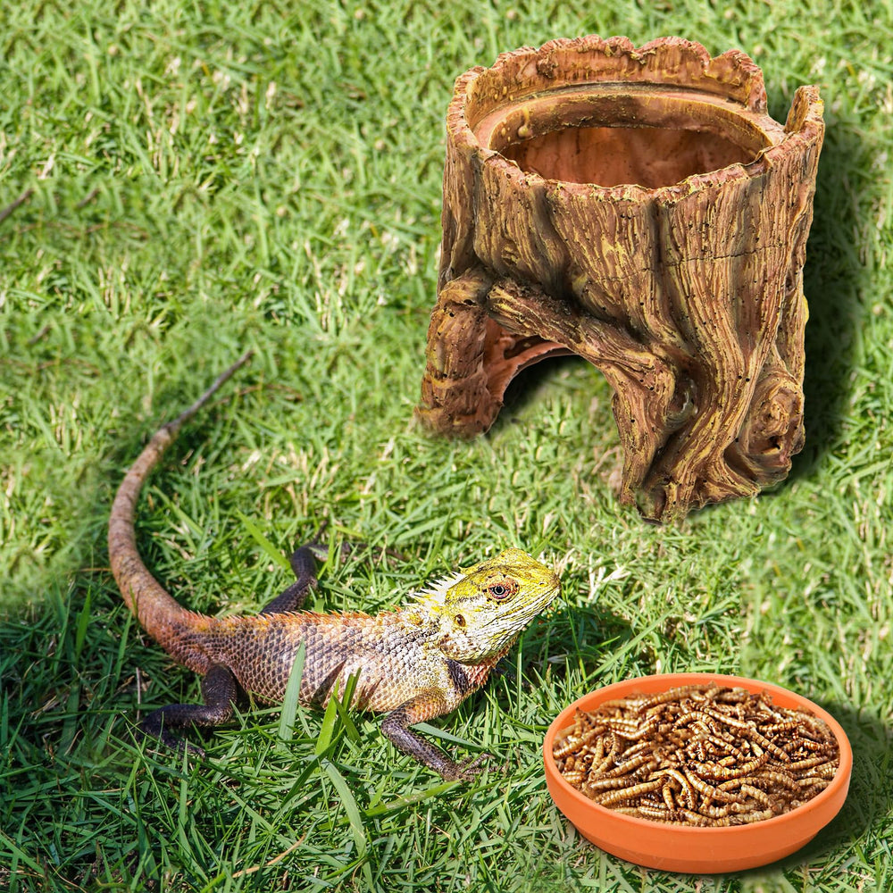 Cididu Reptile Habitat uses non-toxic resin for lasting safety.