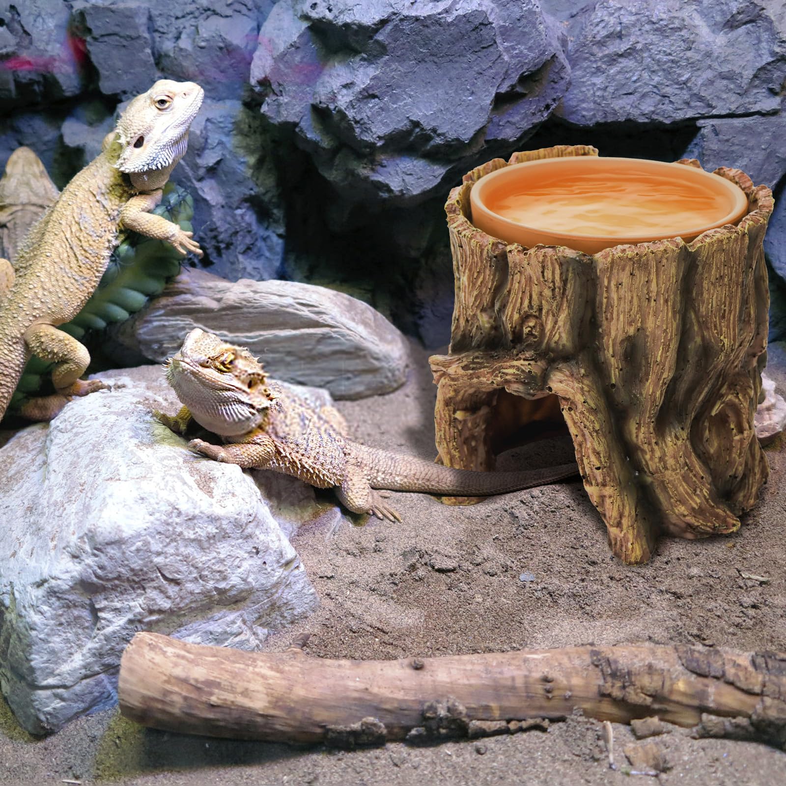 Cididu Reptile Hide Cave dimensions fit in small terrariums.