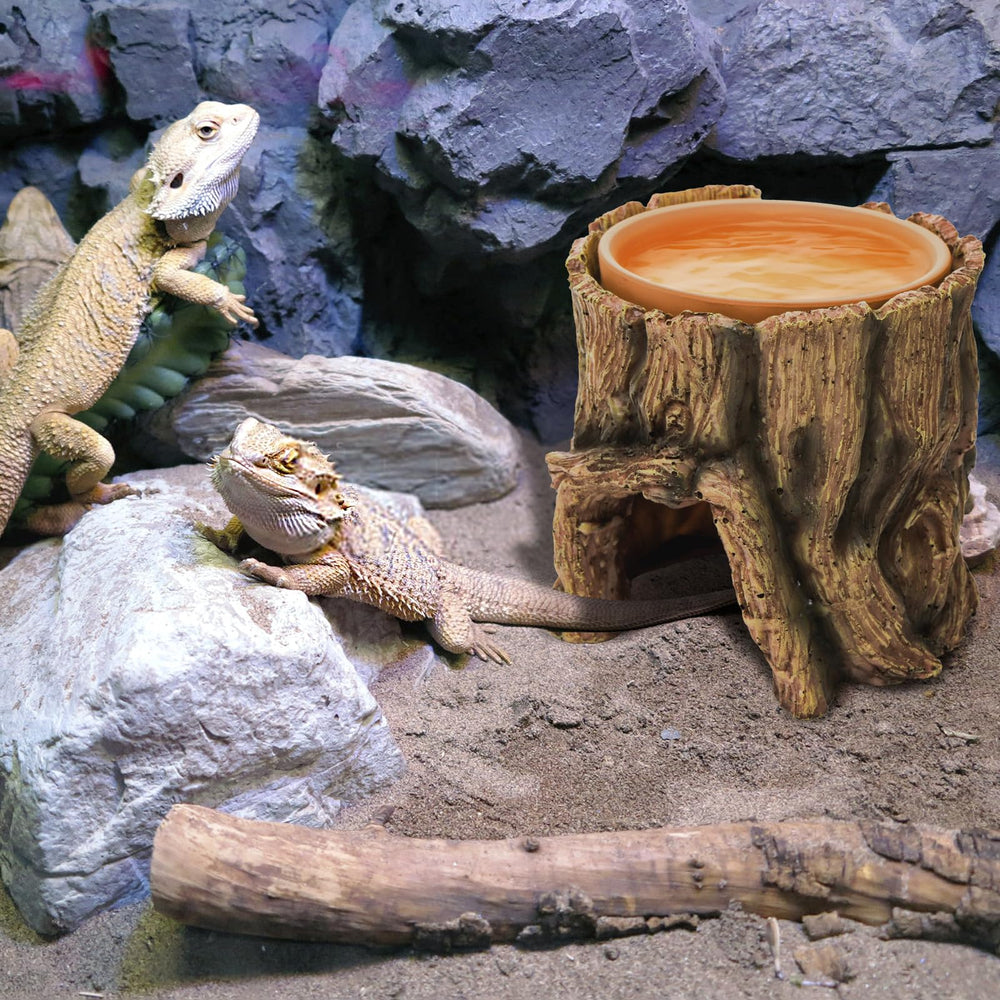 Cididu Reptile Hide Cave dimensions fit in small terrariums.