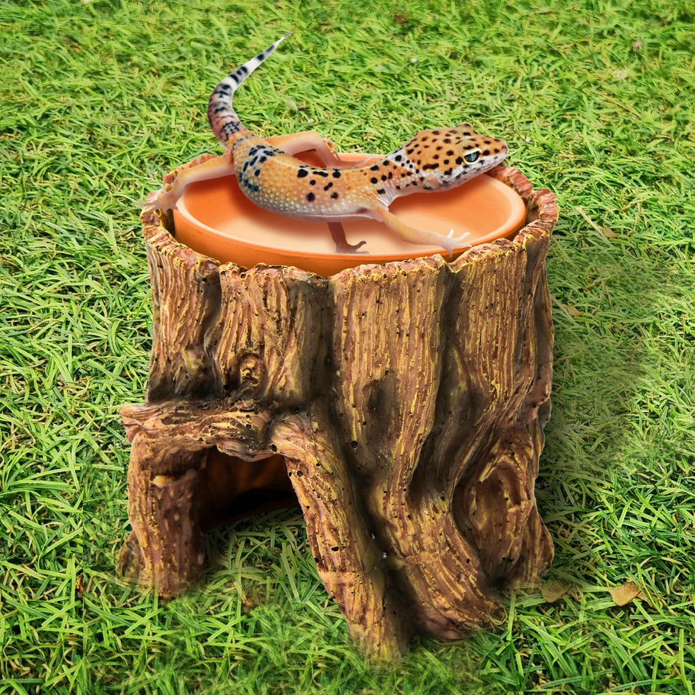 Cididu Reptile Hide Cave supports multiple small pets in one shelter.