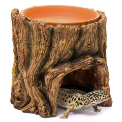 Cididu Reptile Hide Cave with tree root design offers a safe retreat for small reptiles.