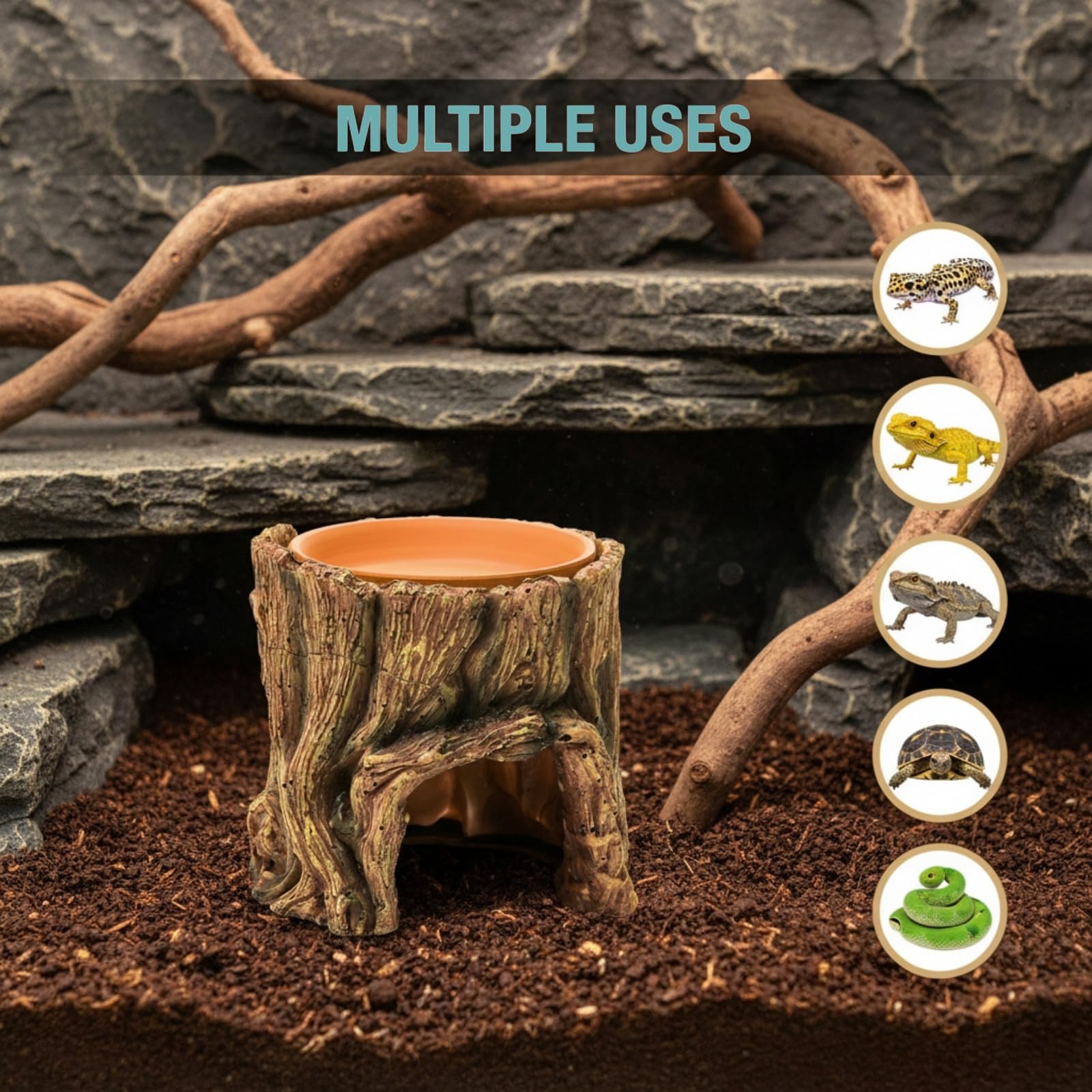 Cididu Reptile Hide Cave water bowl supports hydration in a compact space.