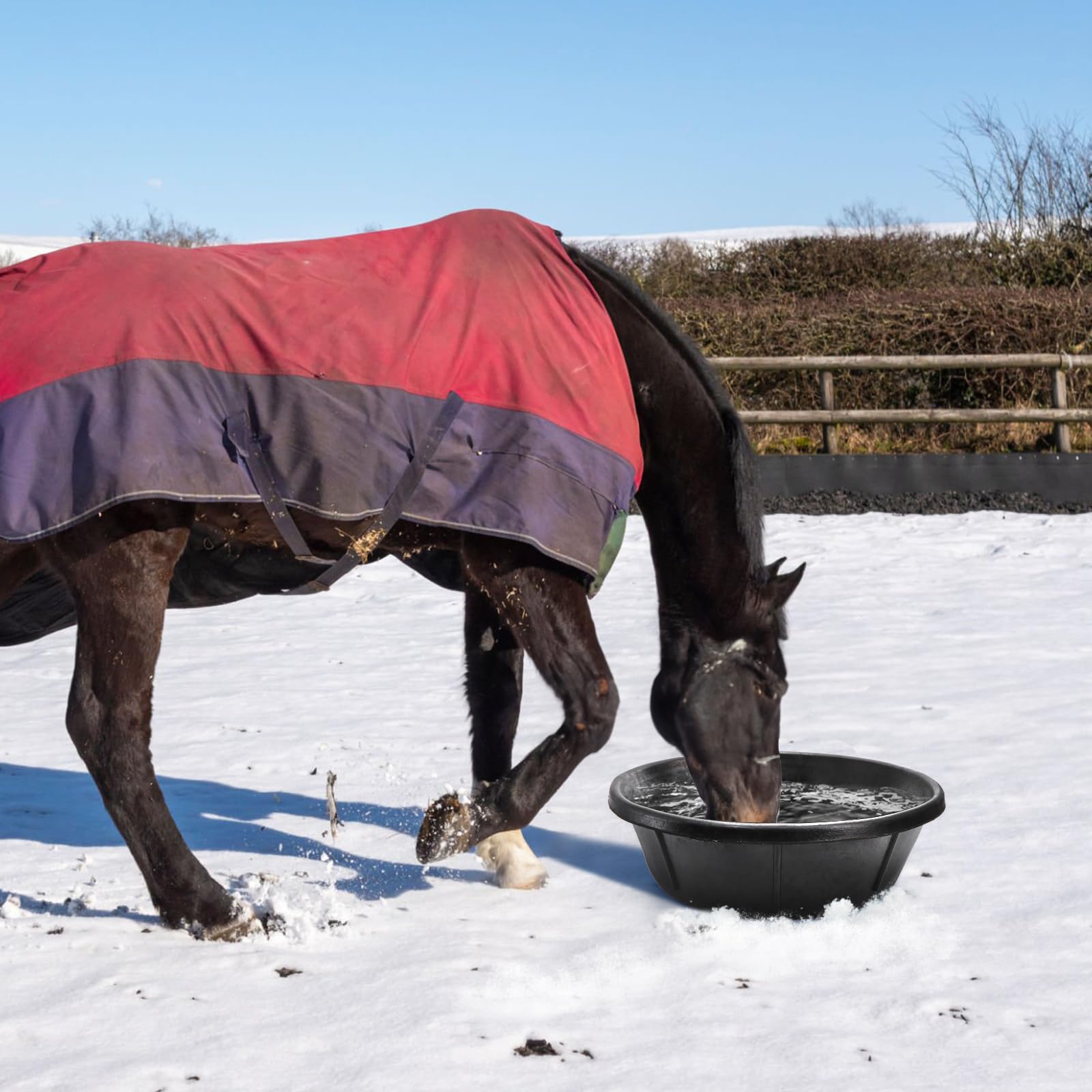 Cididu spill-resistant design supports cleaner feeding areas.