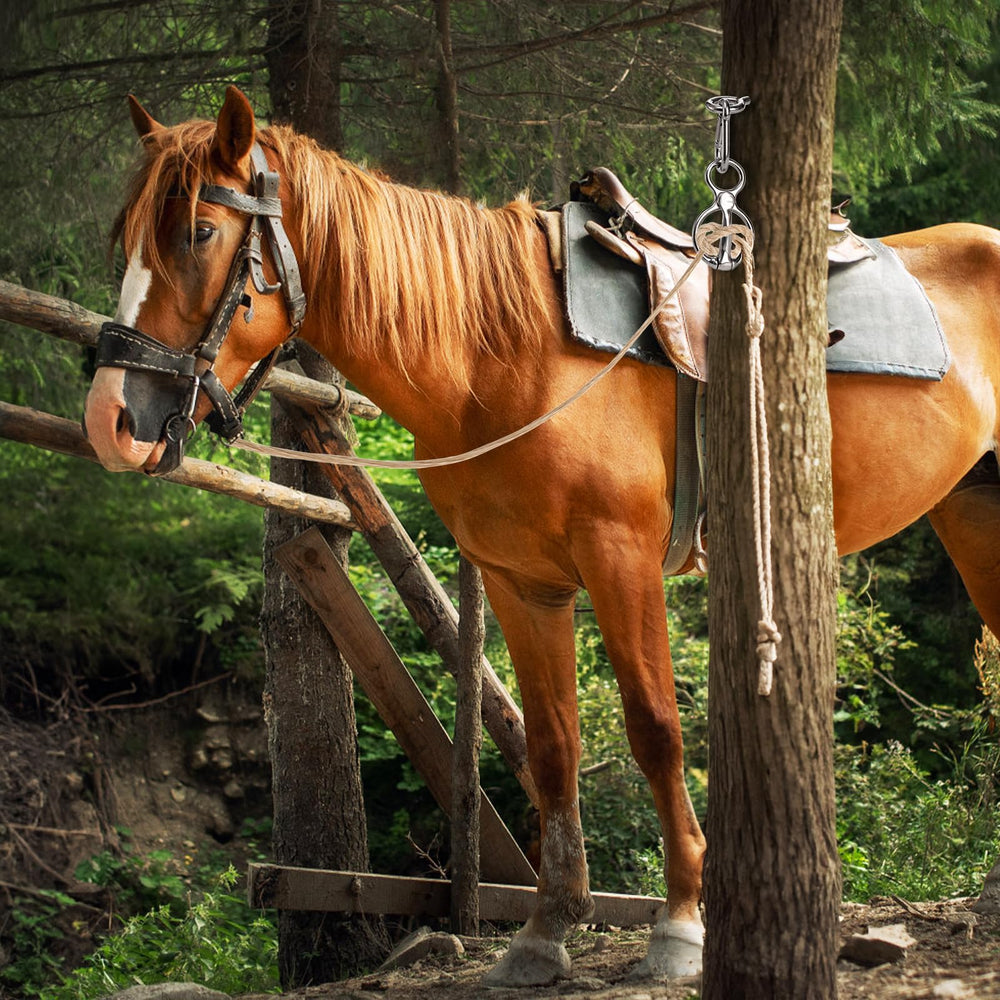 Cididu 3-pack horse tools ready for indoor or outdoor use.