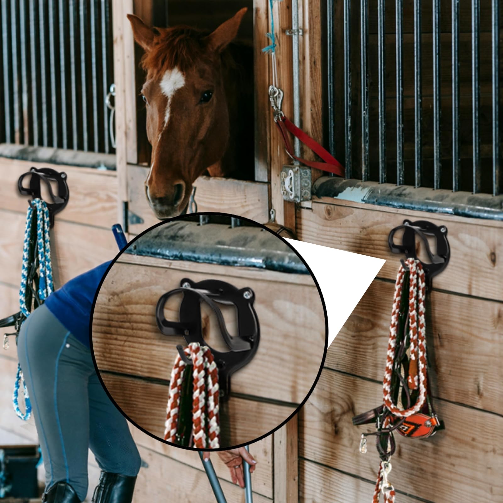 Cididu wall-mounted halter rack for durable tack storage