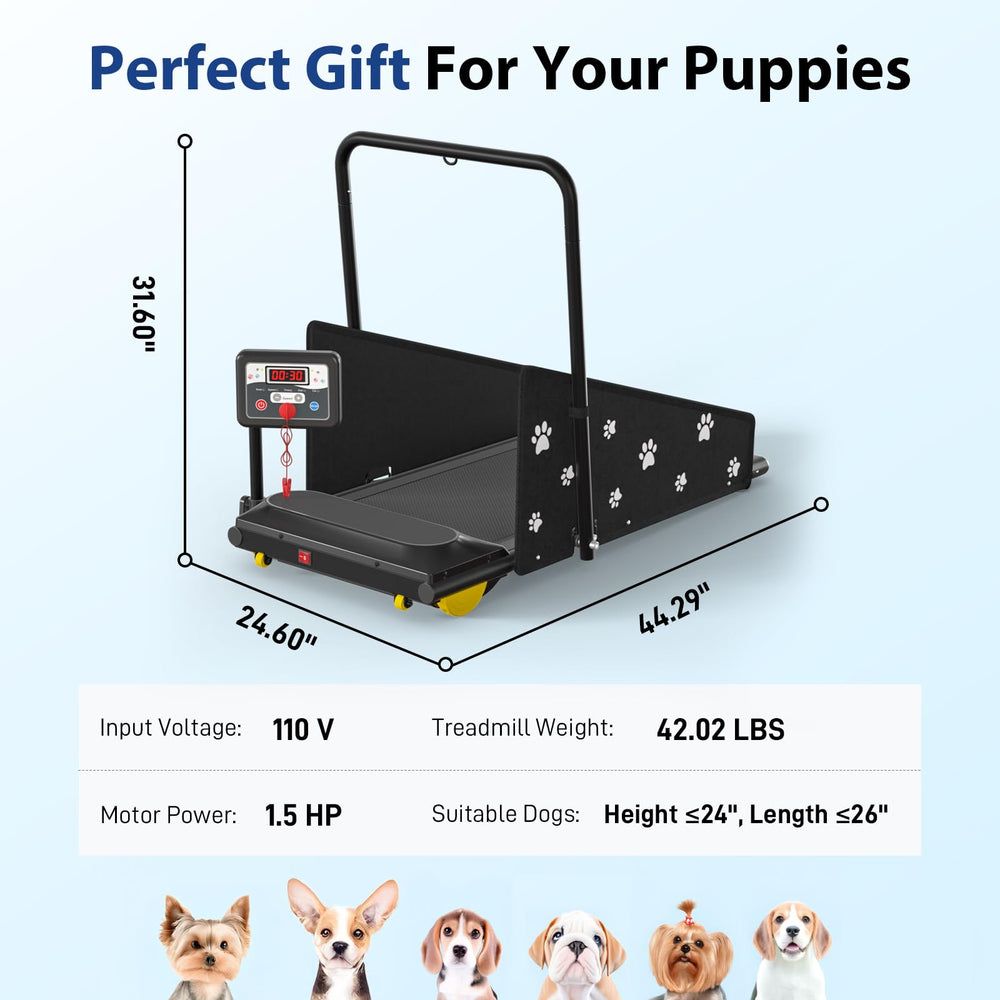 CIIHI C dog treadmill 2-in-1 design adapts for small and adult workouts