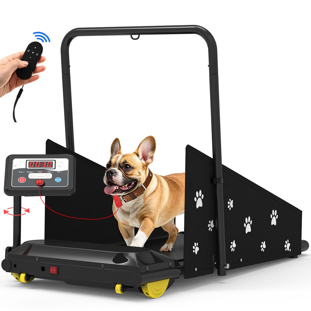 CIIHI C dog treadmill front view shows compact design for home use