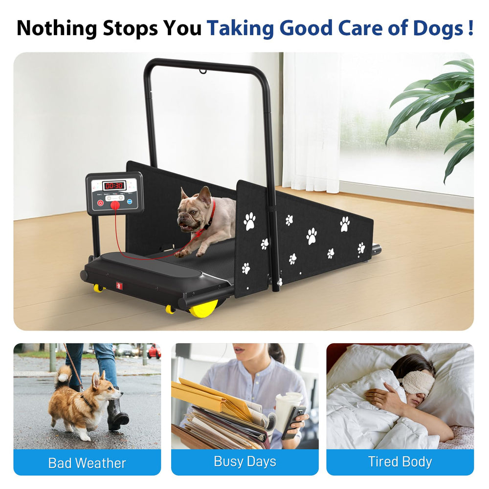 CIIHI C dog treadmill remote control enables hands-free speed adjustment