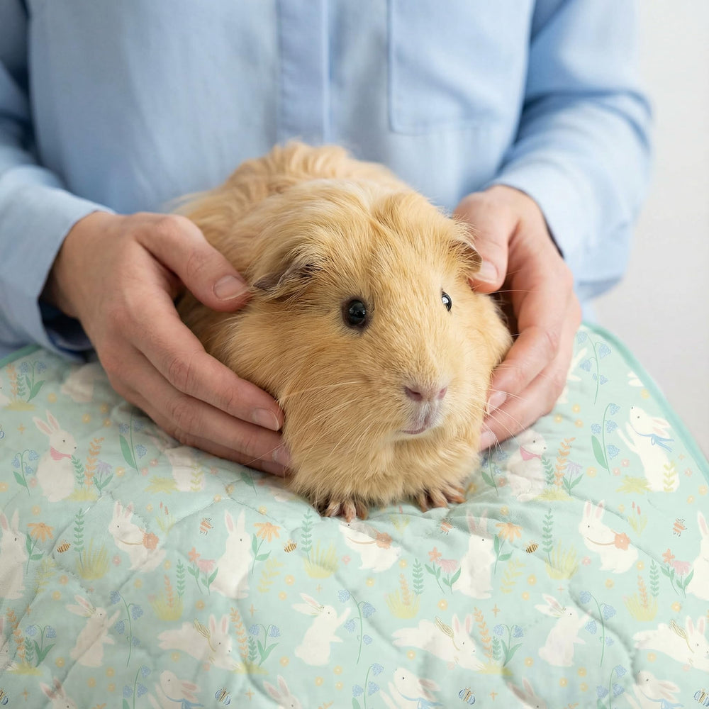Cimiycob cage liner is machine washable for easy care