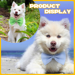 Cindeer adjustable neck strap fits small to medium dogs and cats.