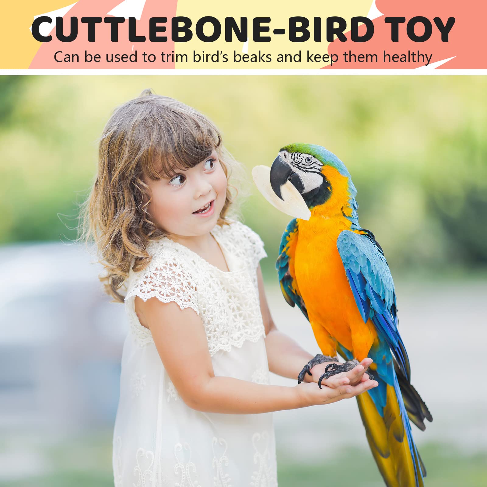 Cindeer bird cage decor option adds enrichment.