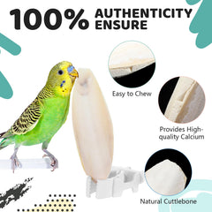Cindeer cuttlebone, 3–3.5 inches, for light chewing.