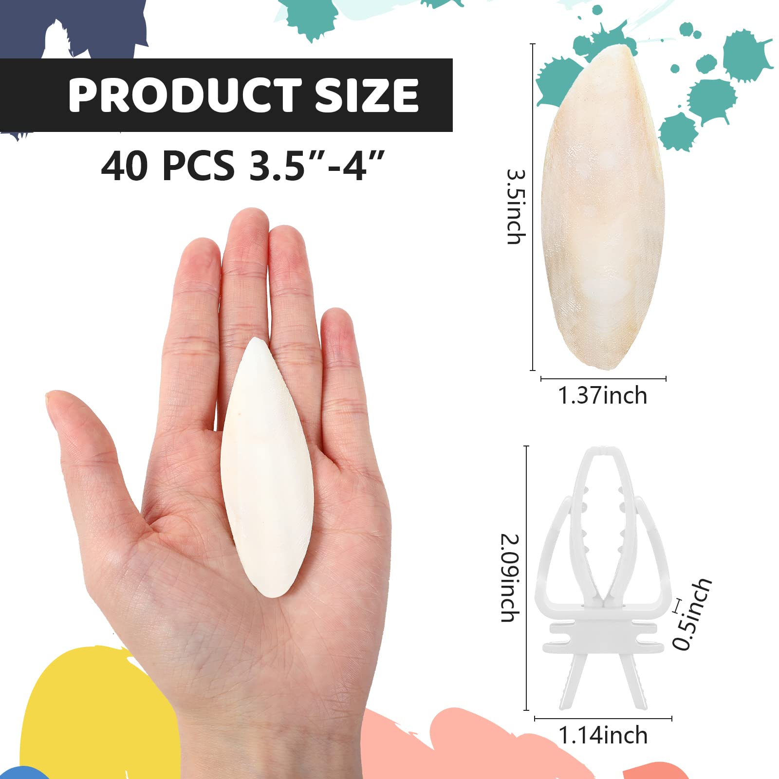 Cindeer cuttlebone holder keeps chew accessible in the cage.