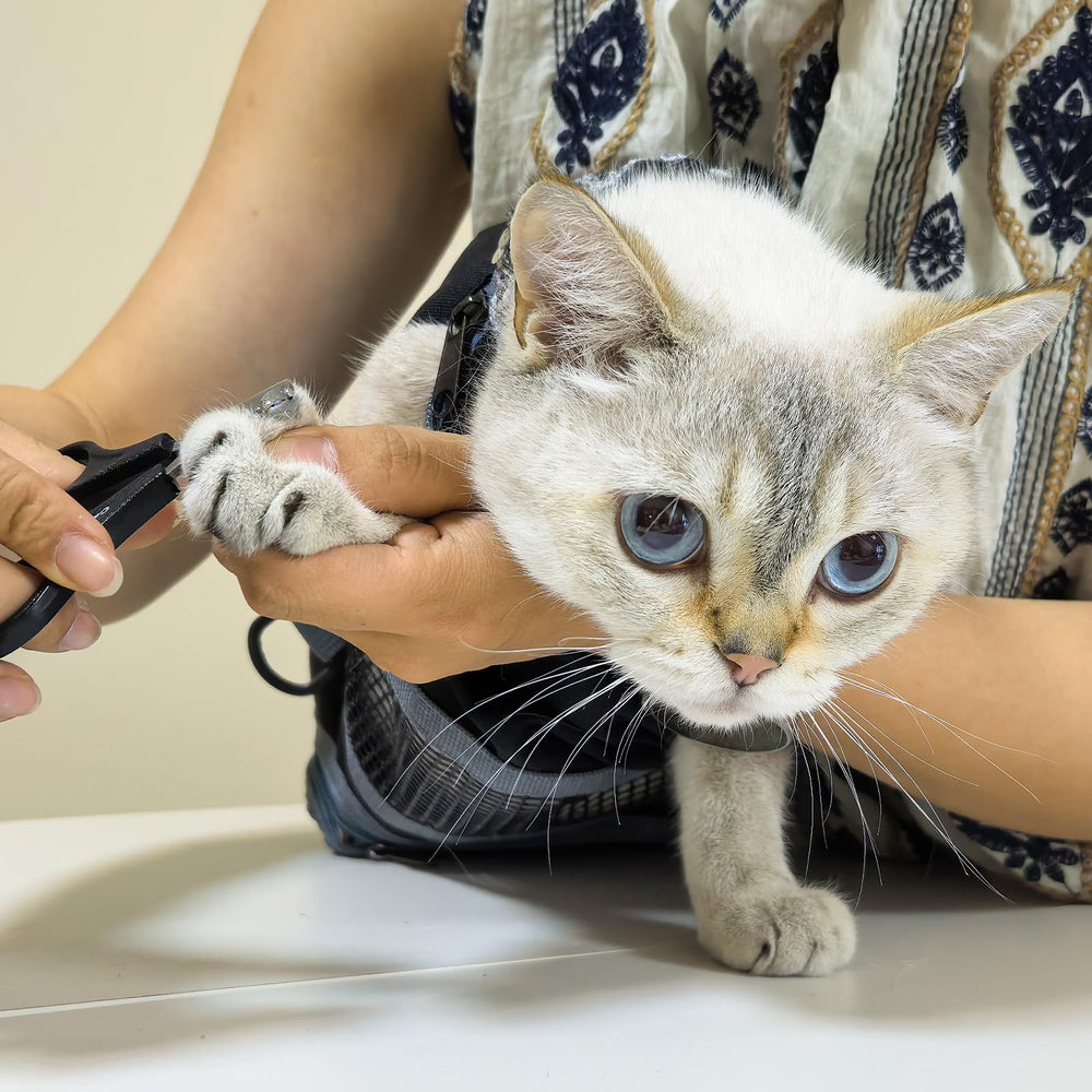 Cinf easy-clean design simplifies post-grooming maintenance