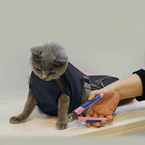 Cinf restraint bag used for gentle examinations and handling.