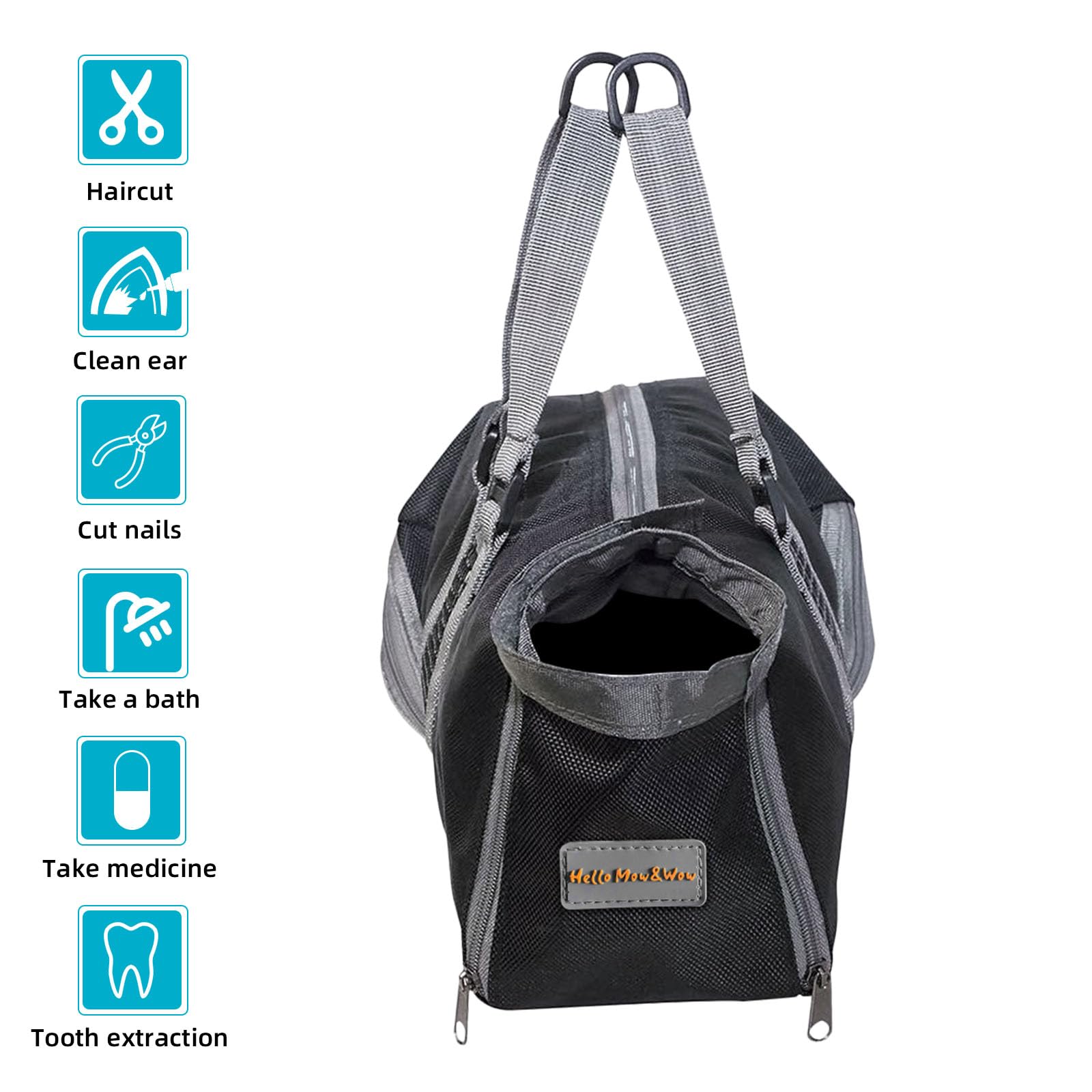 Cinf cat size measurement guide helps find the right fit.