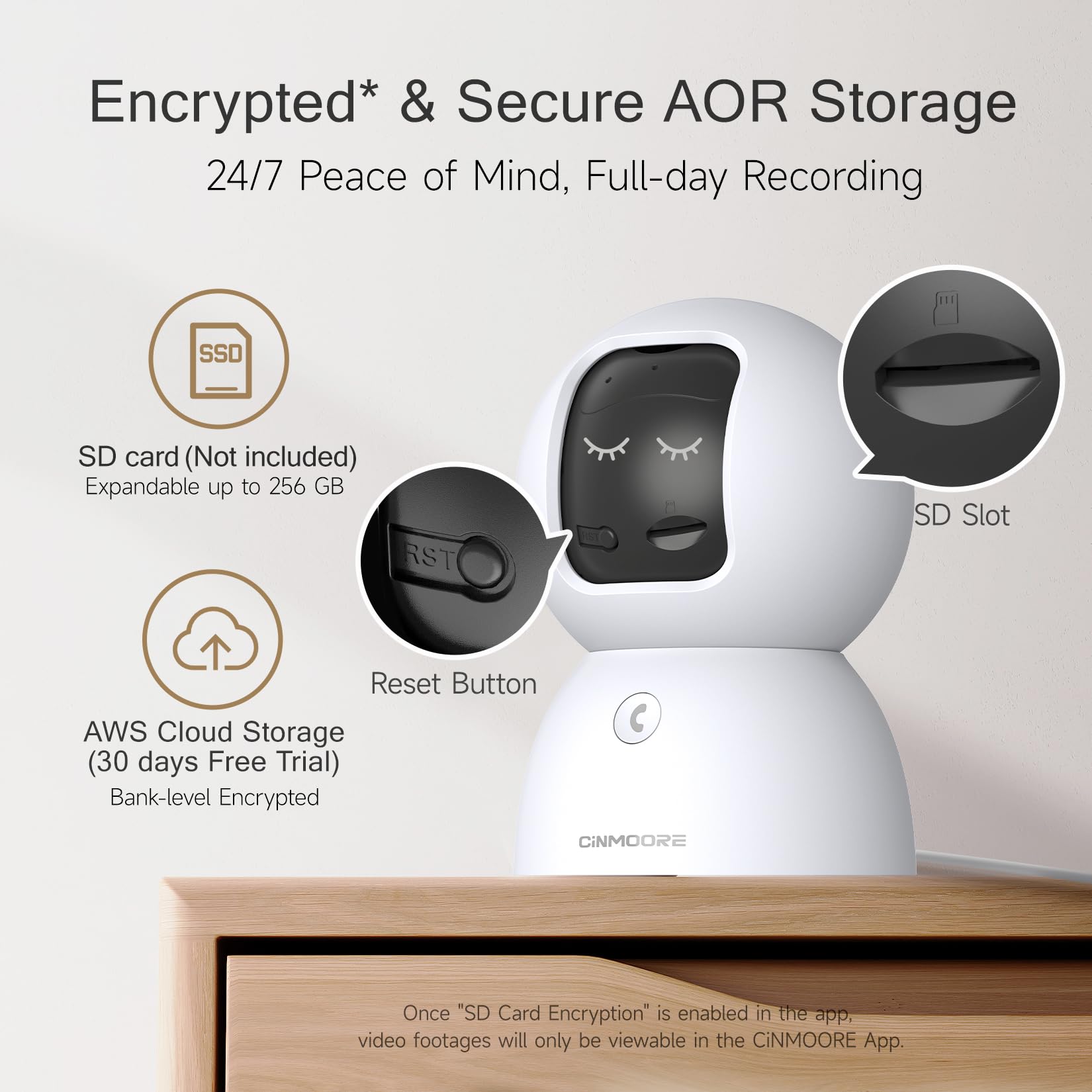 CINMOORE SD card encryption protects local video recordings.