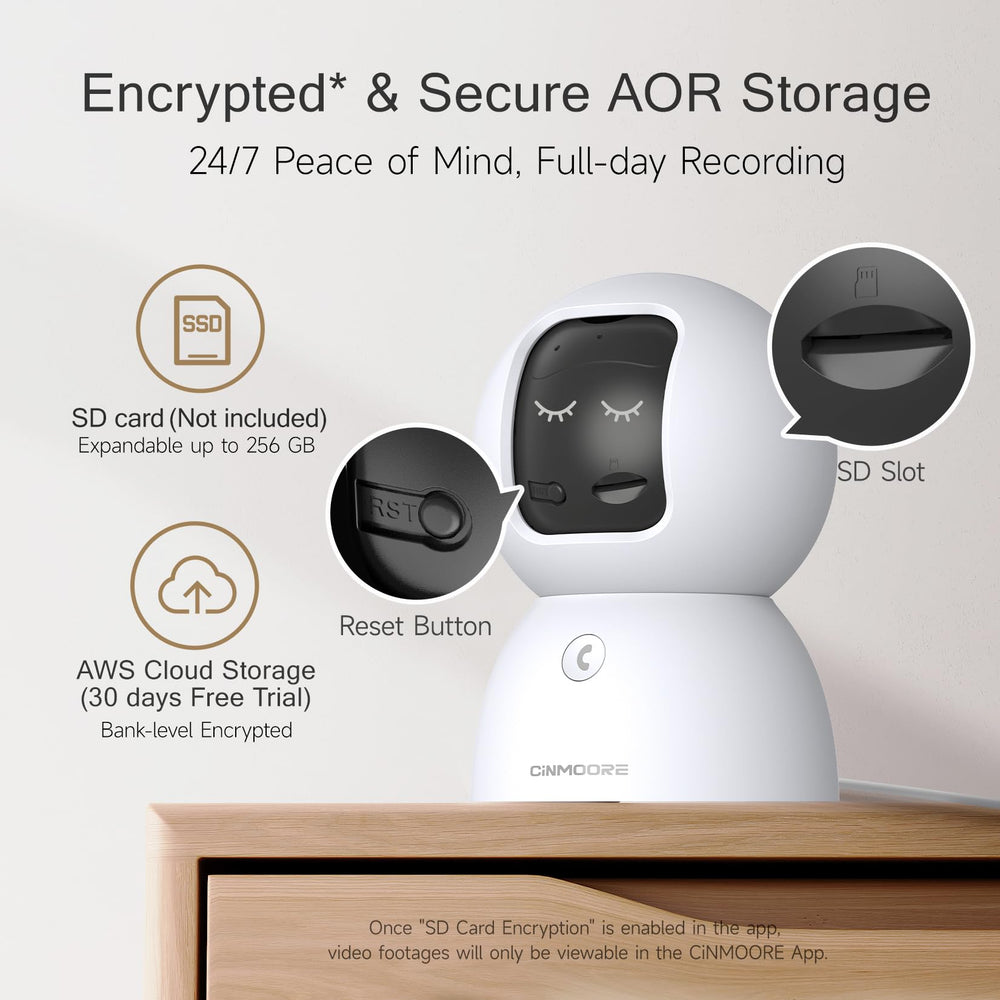 CINMOORE SD card encryption protects local video recordings.