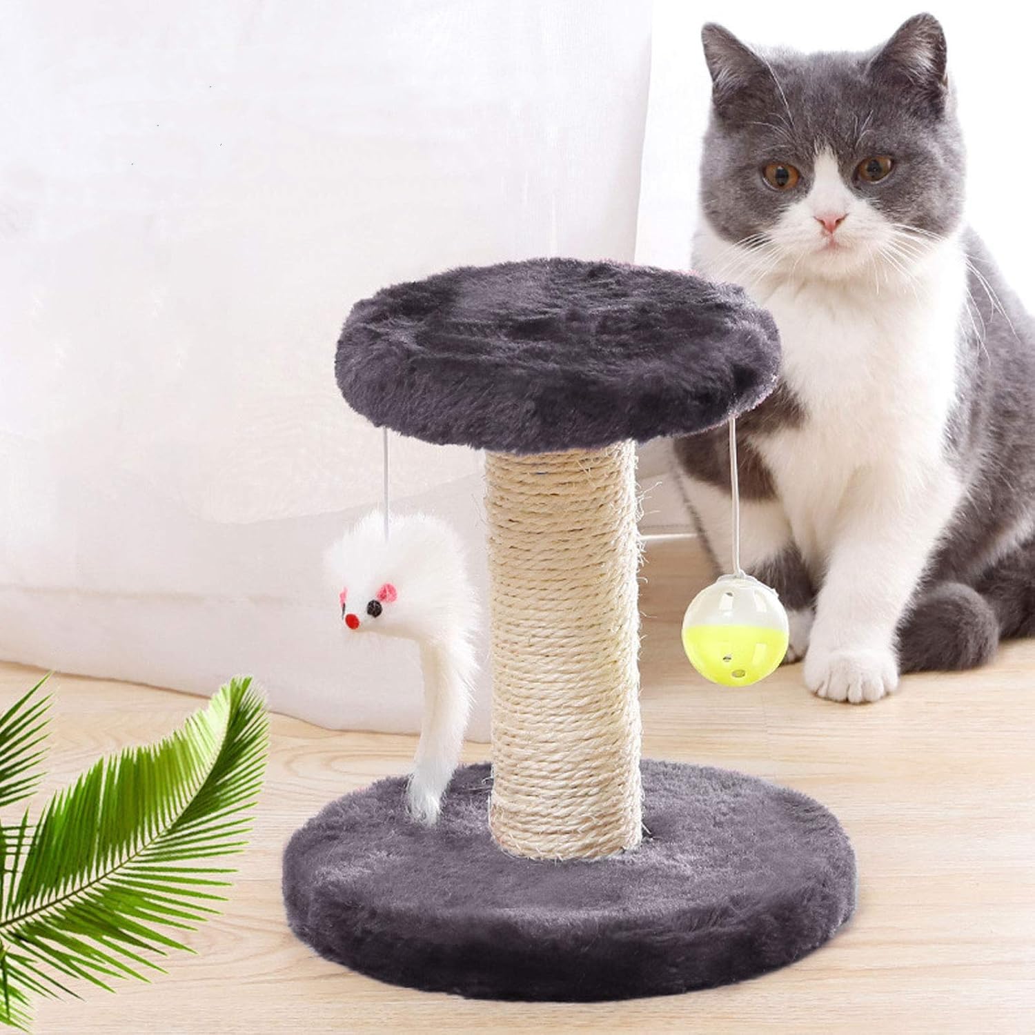Cisila kitten-friendly cat tree supports exercise and playtime