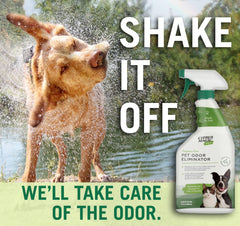 Citrus Magic Pet Odor Eliminator applied to upholstery showcases stain and odor removal.