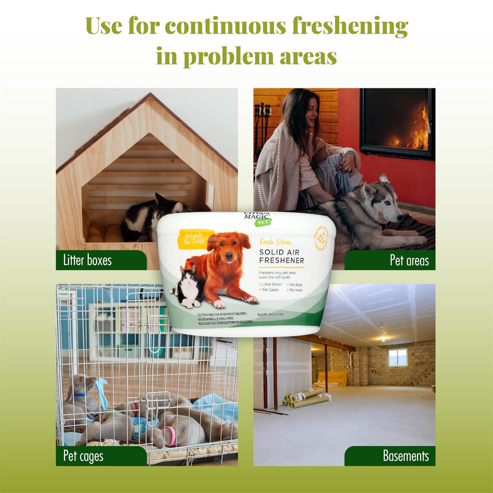 Pet room setup shows convenient, spray-free odor management