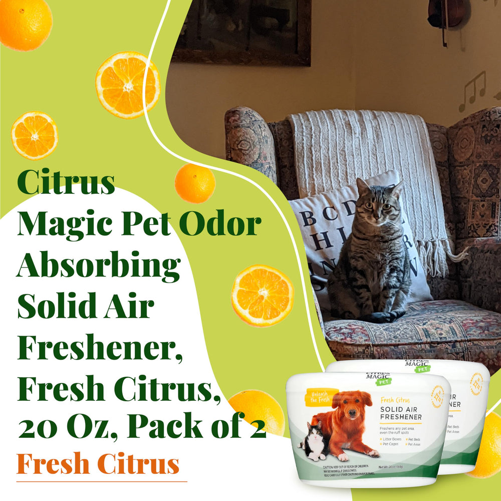 Citrus Magic vent exposure demonstrates spray-free odor control in small spaces