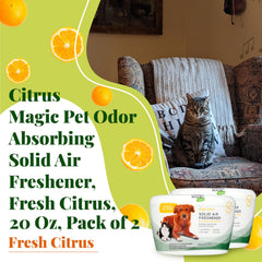 Citrus Magic vent exposure demonstrates spray-free odor control in small spaces