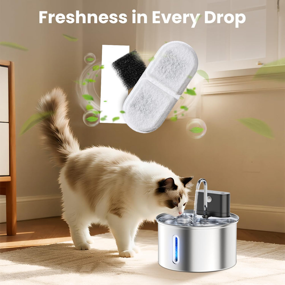 CityFlee promotes pet hydration with clean water for healthier drinking habits.