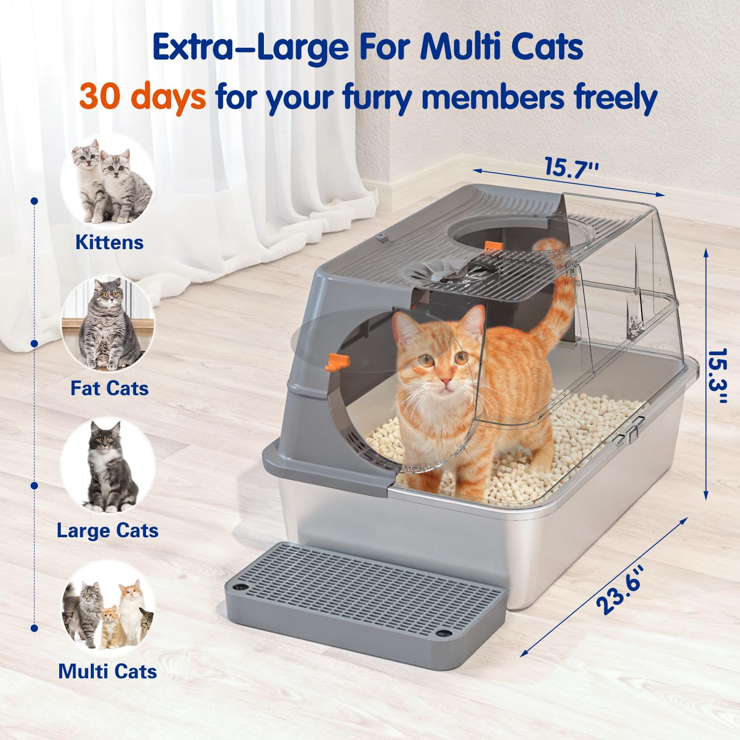 Citylife stainless steel litter box with large capacity suited for multiple cats.