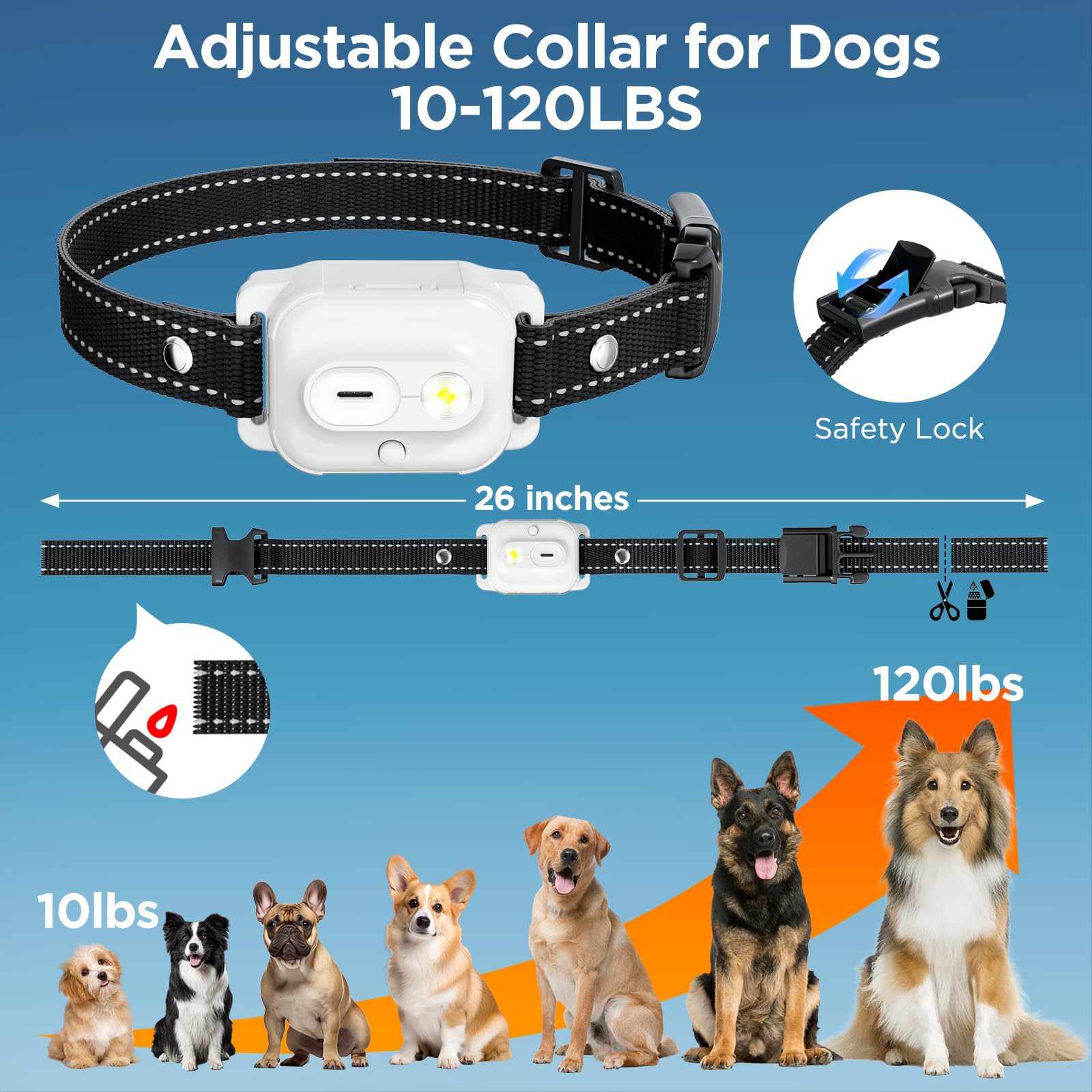 CIUZL adjustable nylon collar fits small to large dogs.