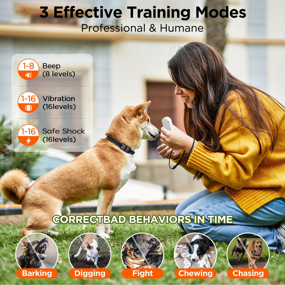 CIUZL remote enables training two dogs at once during outdoor walks.