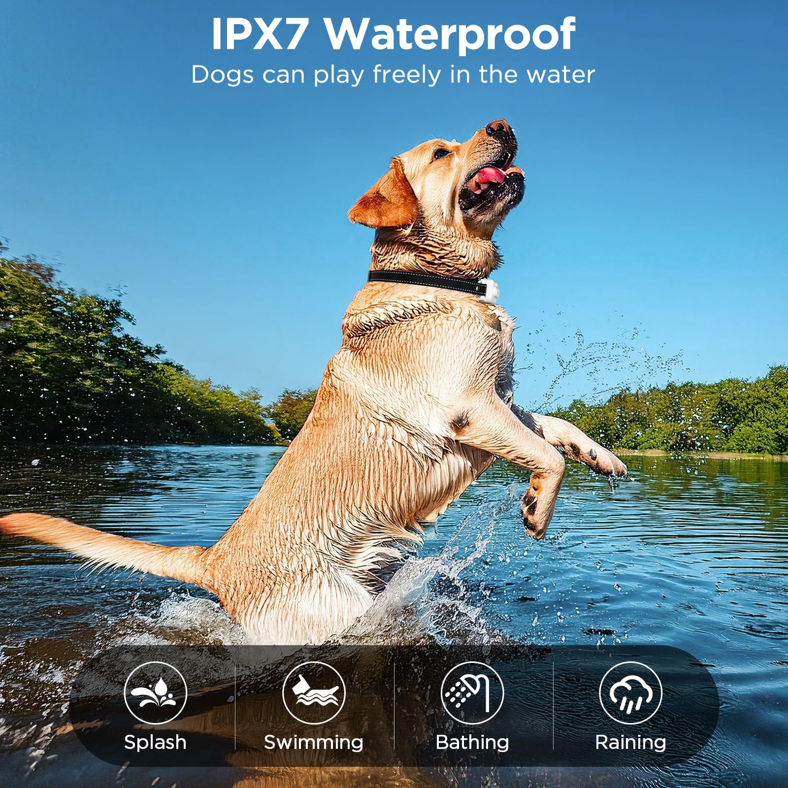 CIUZL IP67 waterproof collar survives rain and splashes.