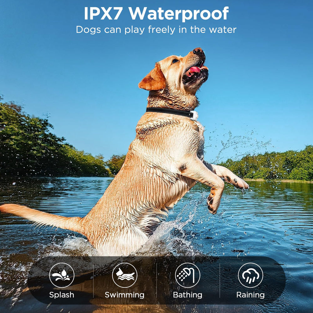 CIUZL IP67 waterproof collar survives rain and splashes.