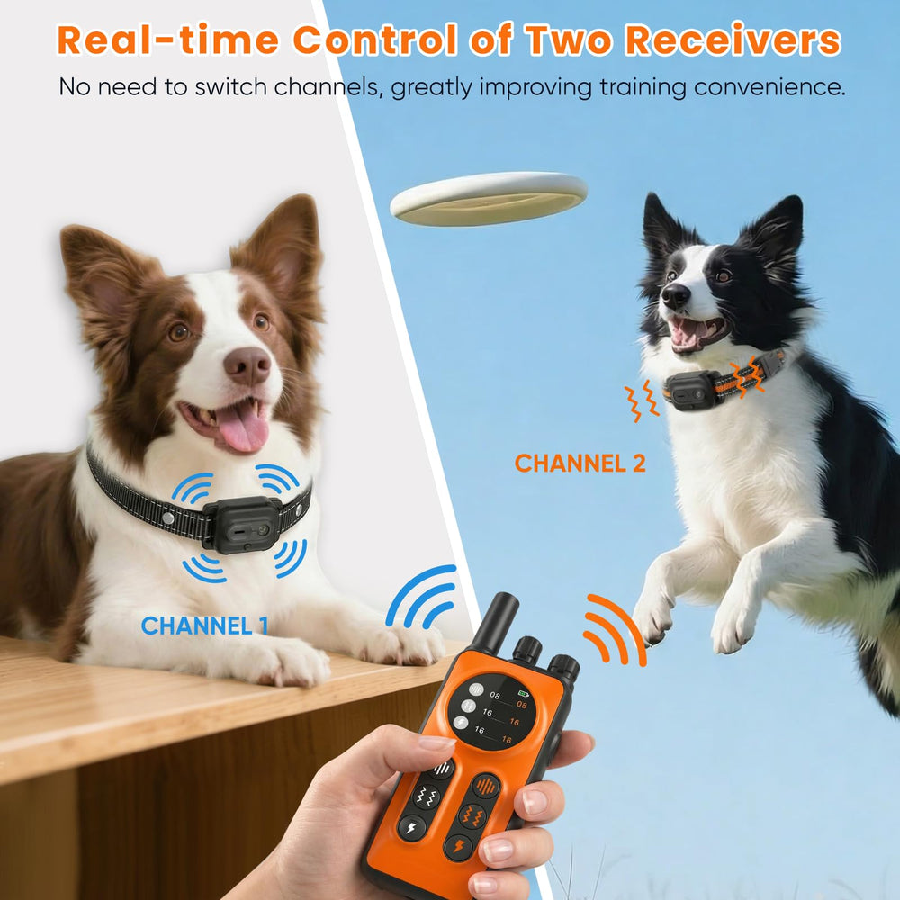 CIUZL two receivers controlled in real time during walks