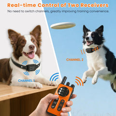 CIUZL two receivers controlled in real time during walks