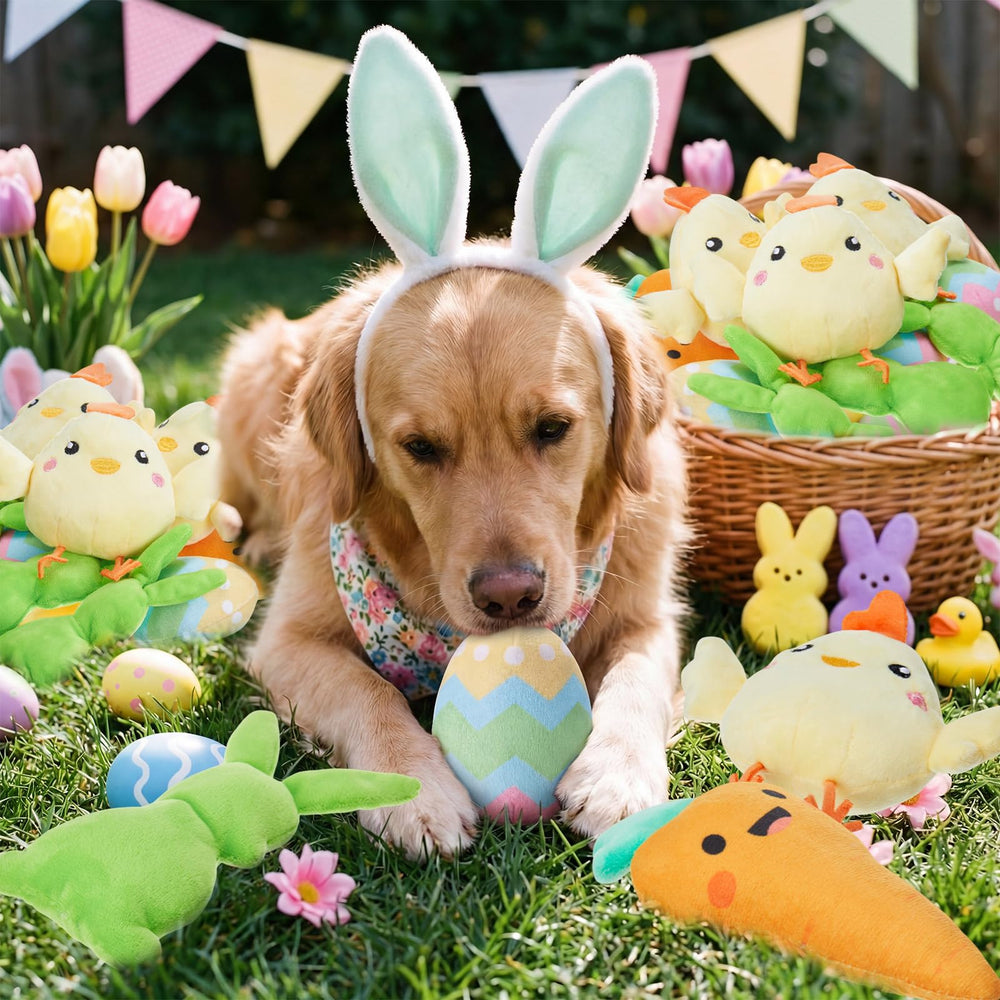 Civaner Easter squeaky egg toy for interactive games and bite-friendly fun.