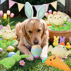 Civaner Easter squeaky egg toy for interactive games and bite-friendly fun.