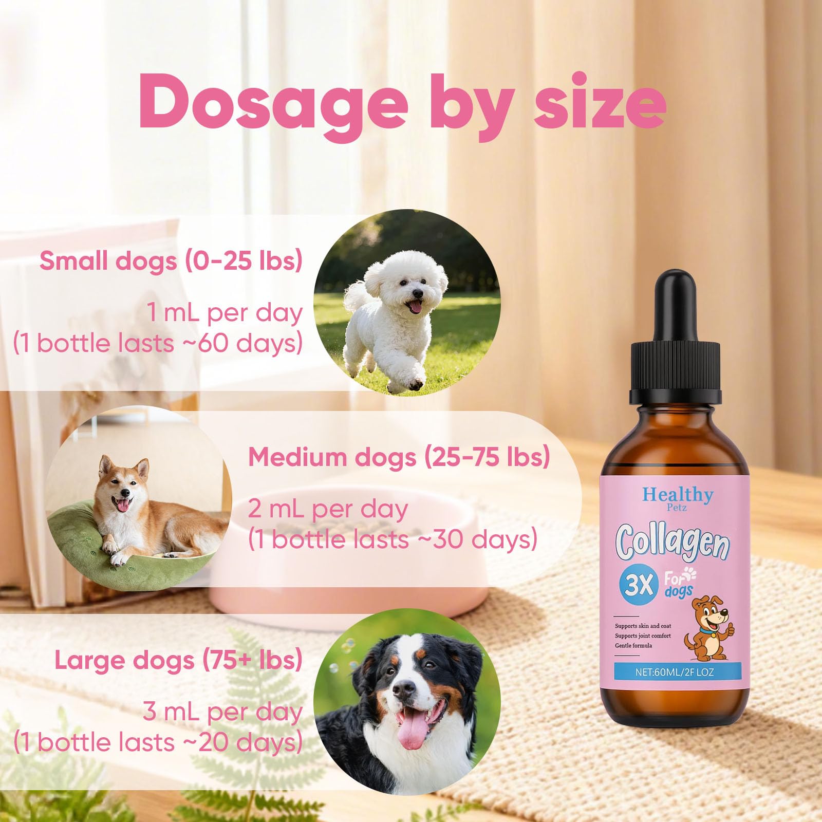 CIVGICY Collagen promotes shiny coat and healthy skin in dogs
