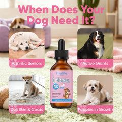 CIVGICY Healthy Petz Collagen supports mobility during daily walks