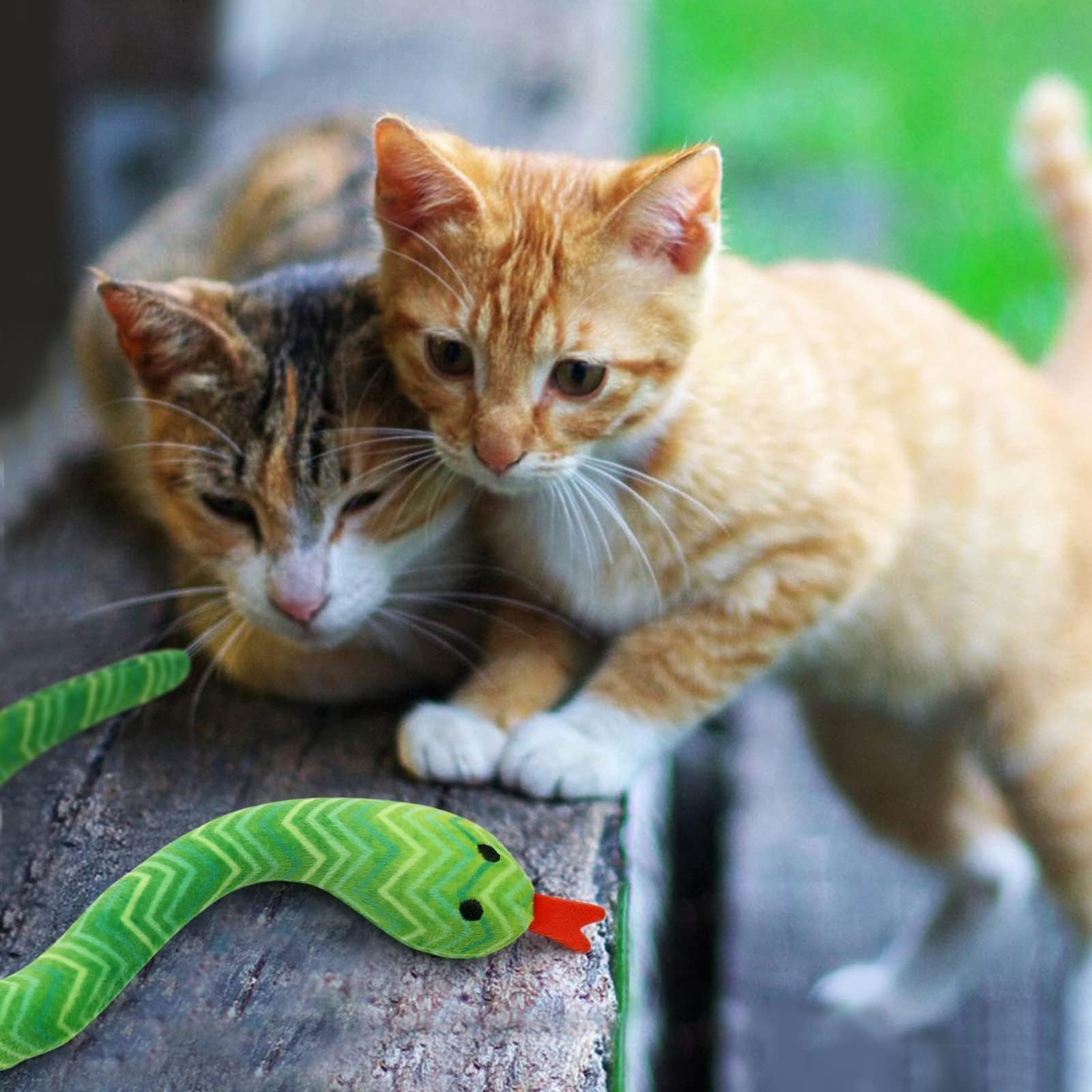 CiyvoLyeen boredom-relief cat toy gift ideal for curious cats