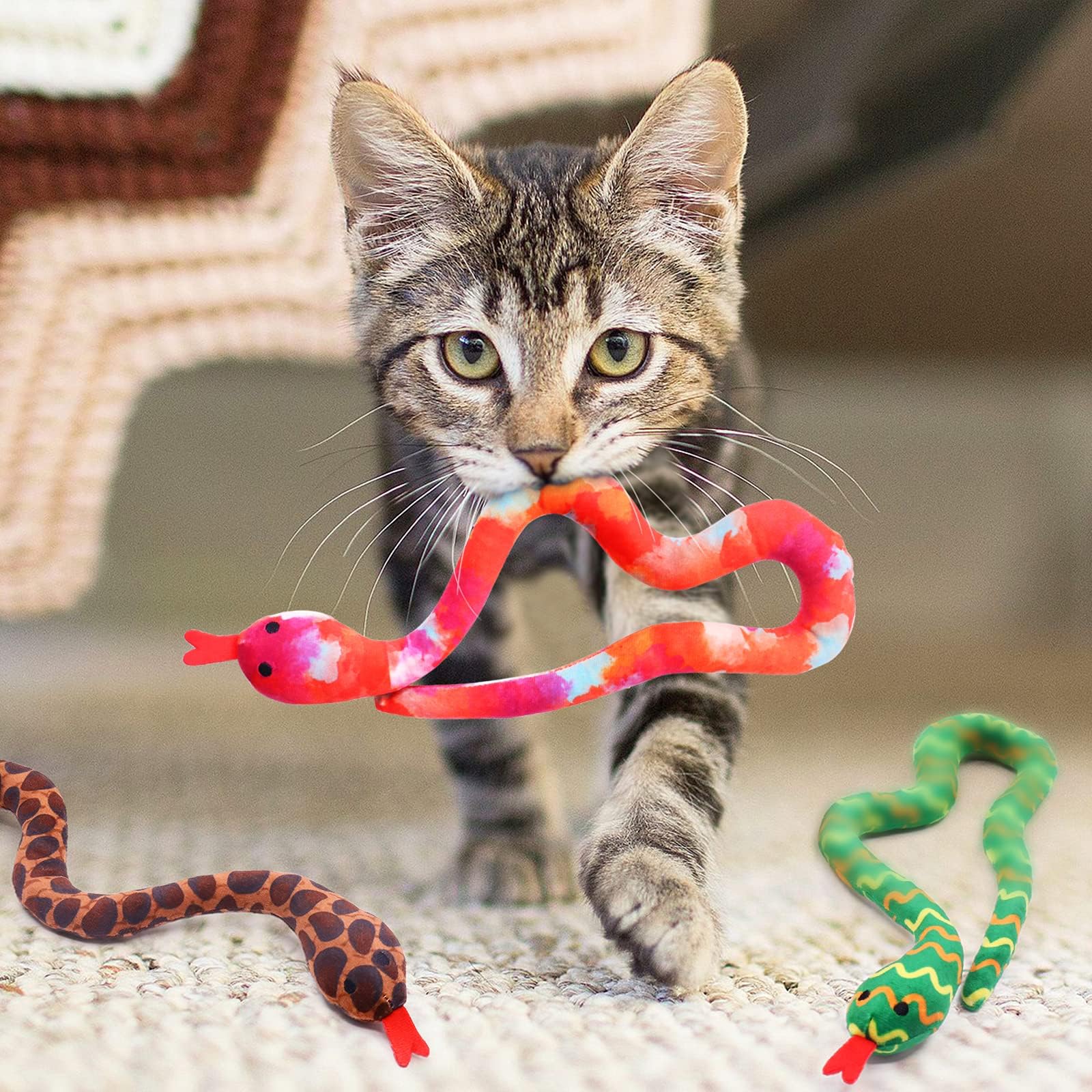 Gift-ready packaging of CiyvoLyeen catnip toys for cat lovers.