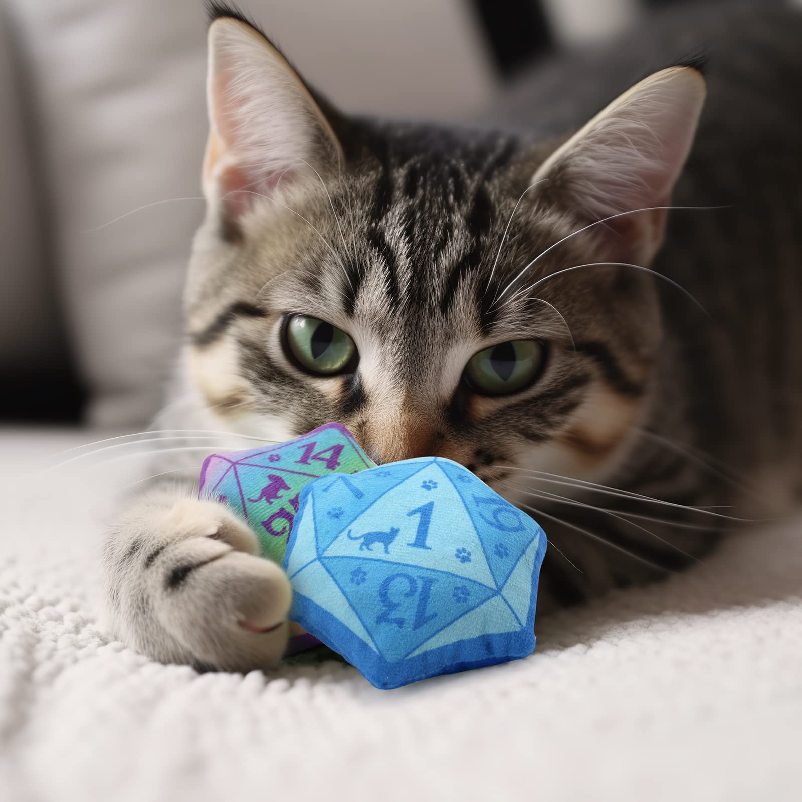 CiyvoLyeen D20 catnip dice orange toy supports social play.