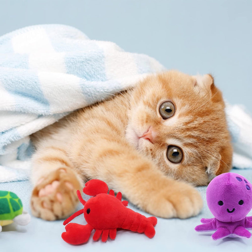 CiyvoLyeen seahorse catnip toy invites snuggle and playful pawing.