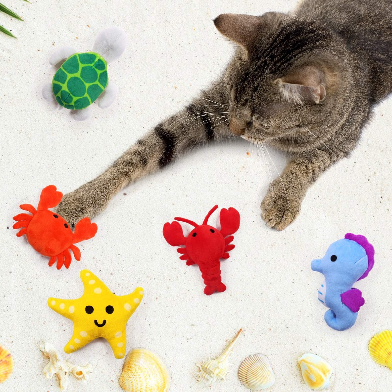 CiyvoLyeen starfish catnip toy sparks curious chase and cuddling.