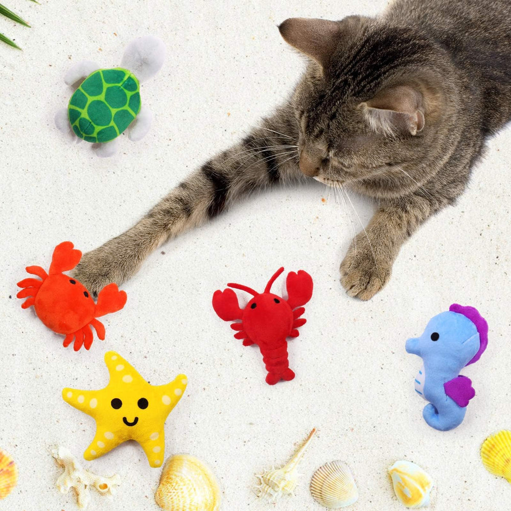 CiyvoLyeen starfish catnip toy sparks curious chase and cuddling.