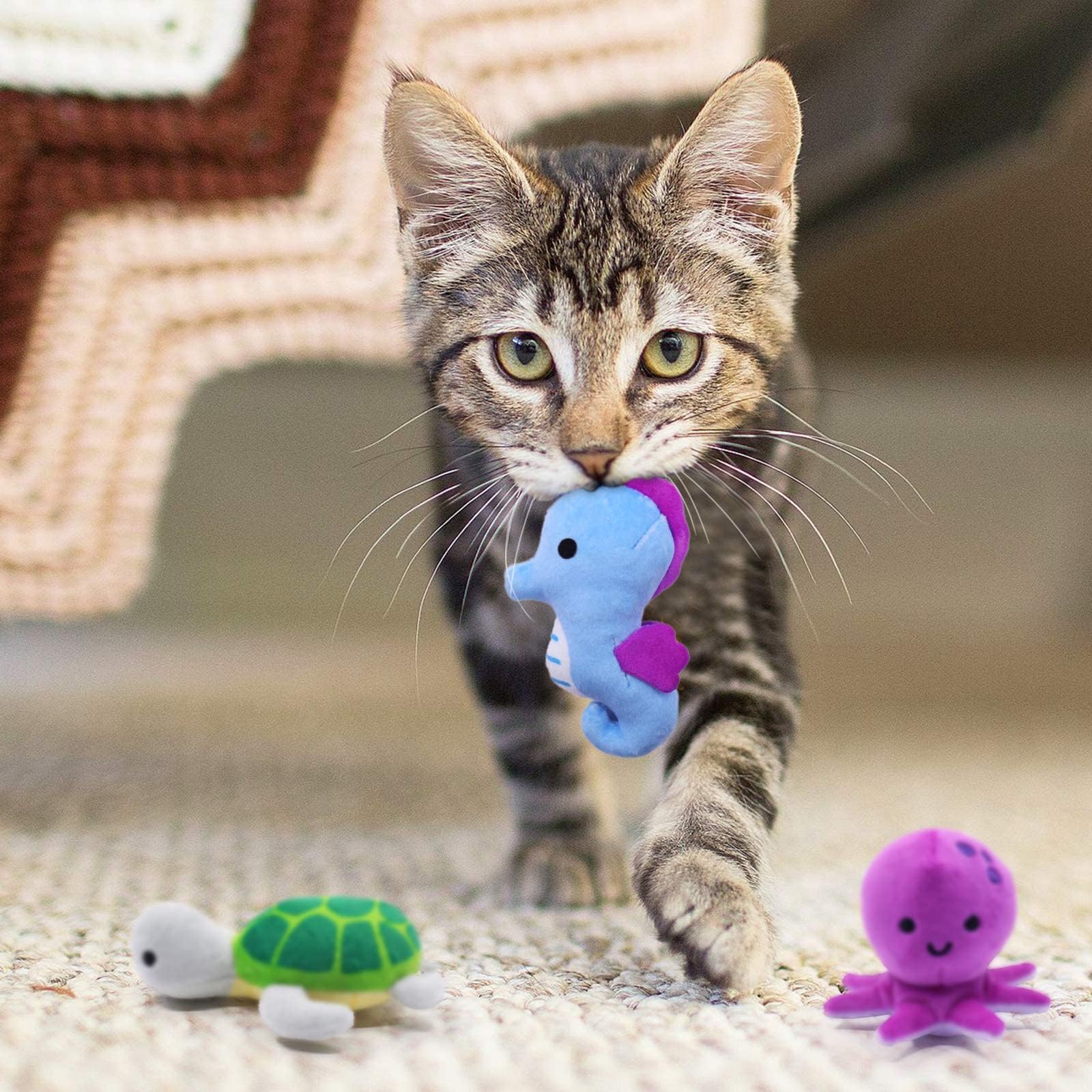CiyvoLyeen turtle catnip toy supports gentle chewing and exploration.