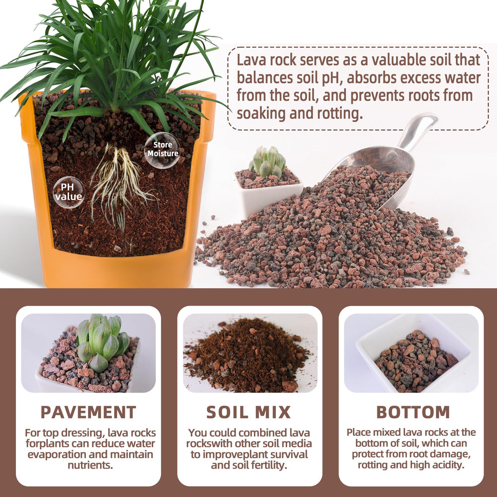 CJGQ lava rocks for bonsai and terrariums; helps moisture balance and aesthetics