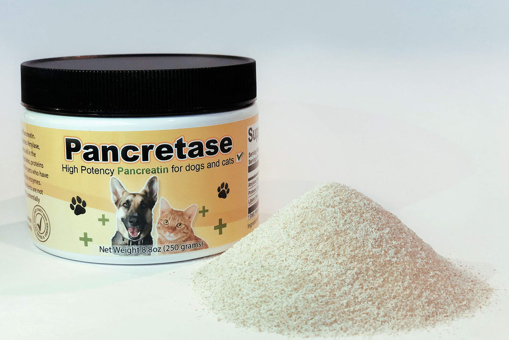 CK Formulations Pancretase bottle labeled for easy dosing and storage.