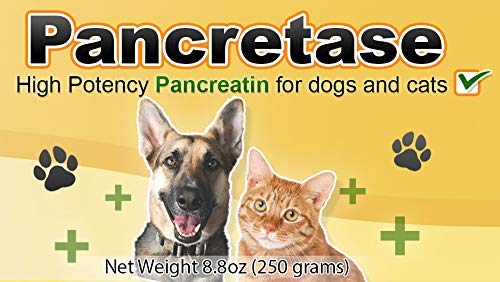 CK Formulations Pancretase capsules close-up highlighting 10x potency.