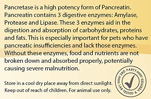 CK Formulations Pancretase on a pet feeding scene showing enzyme support at mealtime.